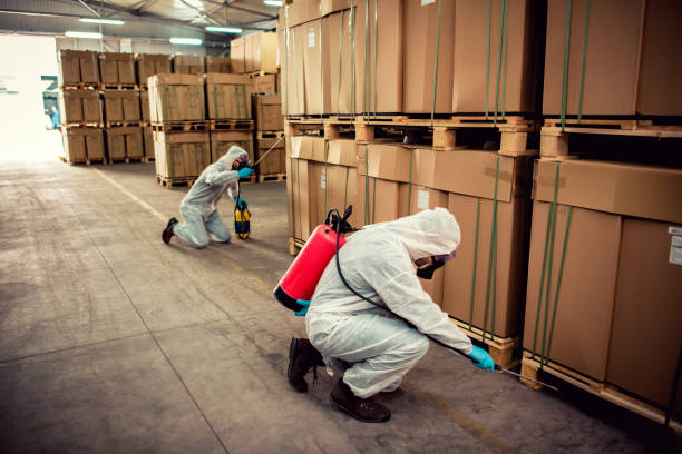 Best Cockroach Control Services  in Berryville, TX