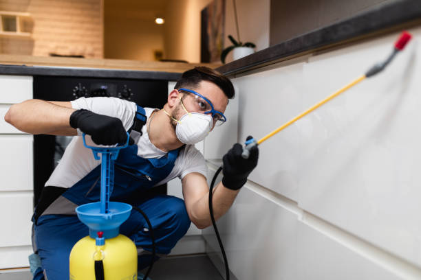 Best Bed Bug Extermination  in Berryville, TX