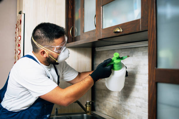 Professional Pest Control in Berryville, TX