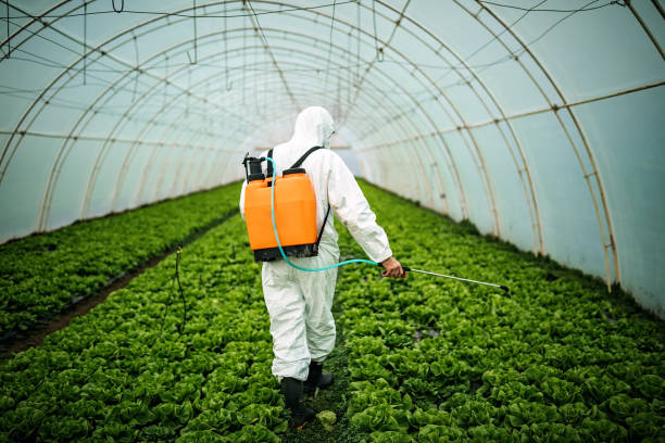 Best Mosquito Control Services  in Berryville, TX