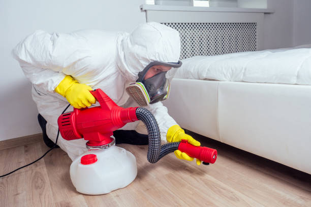 Best Pest Control Near Me in Berryville, TX