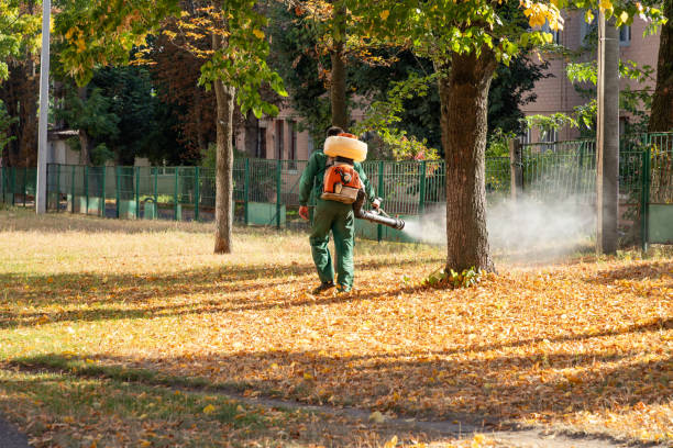 Best Ant Control Services  in Berryville, TX
