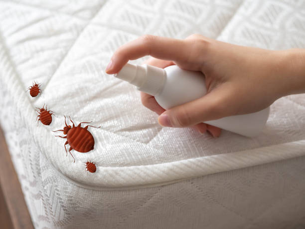 Best Best Pest Control Companies  in Berryville, TX