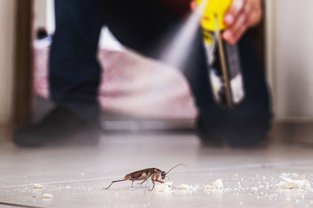 Best Pest Control for Restaurants  in Berryville, TX