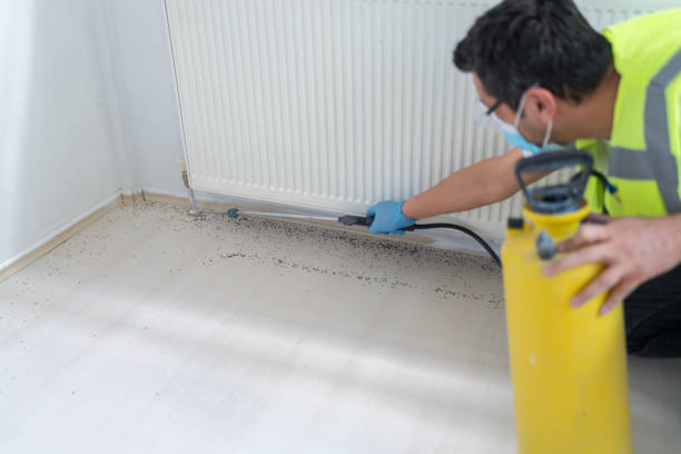 Best Emergency Pest Control  in Berryville, TX